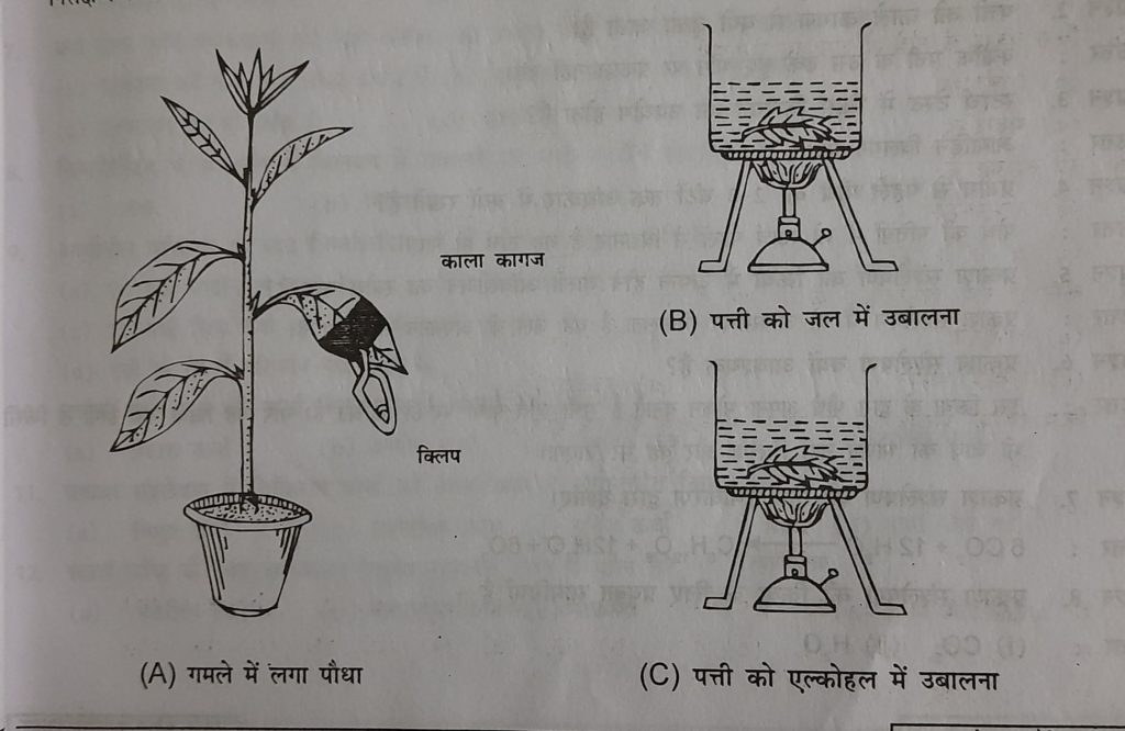 Matric Science Practical Model Question Answer 
