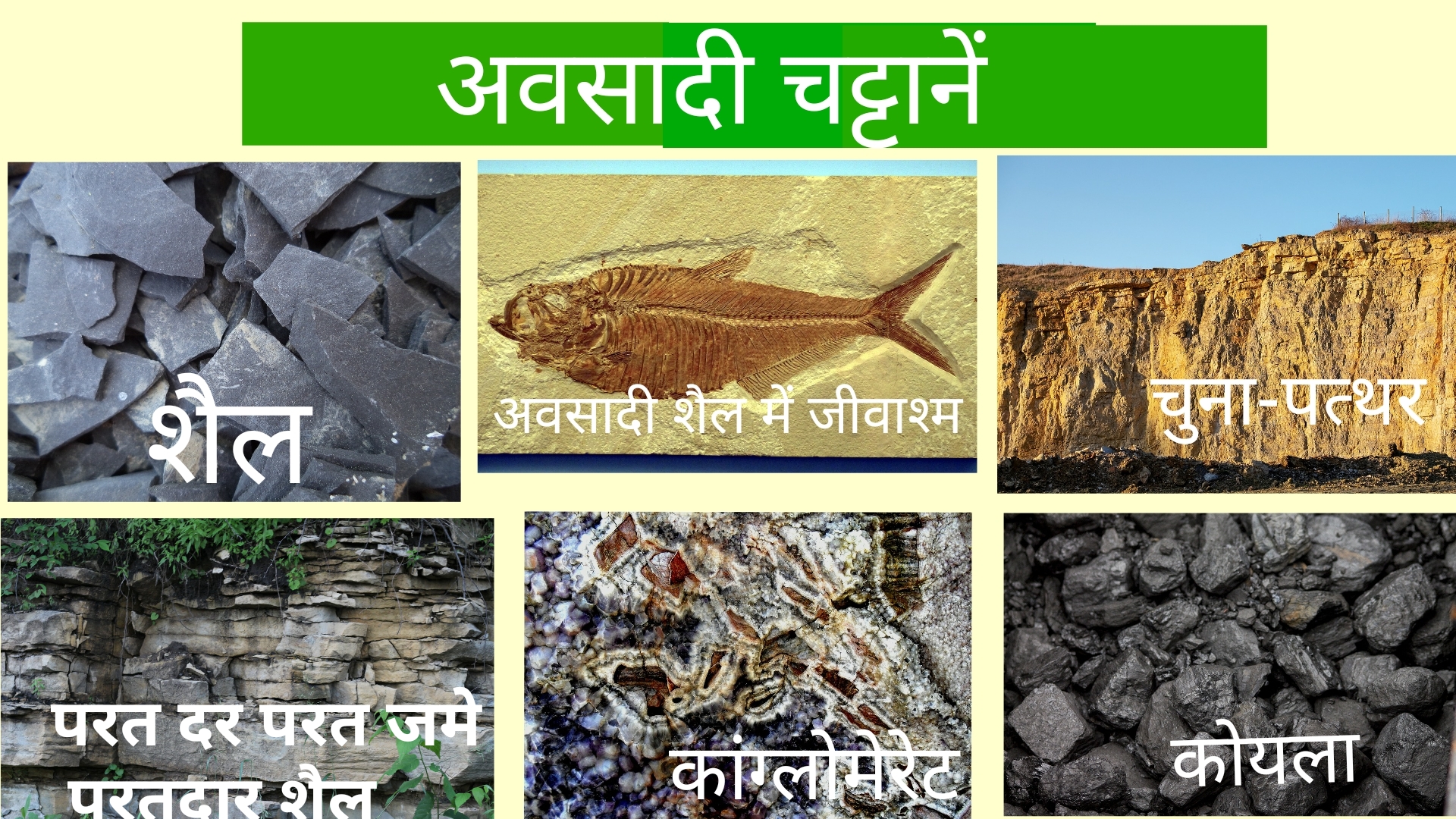 Type of Rocks in hindi चट्टानों के प्रकार हिंदी में Gyan Tarang