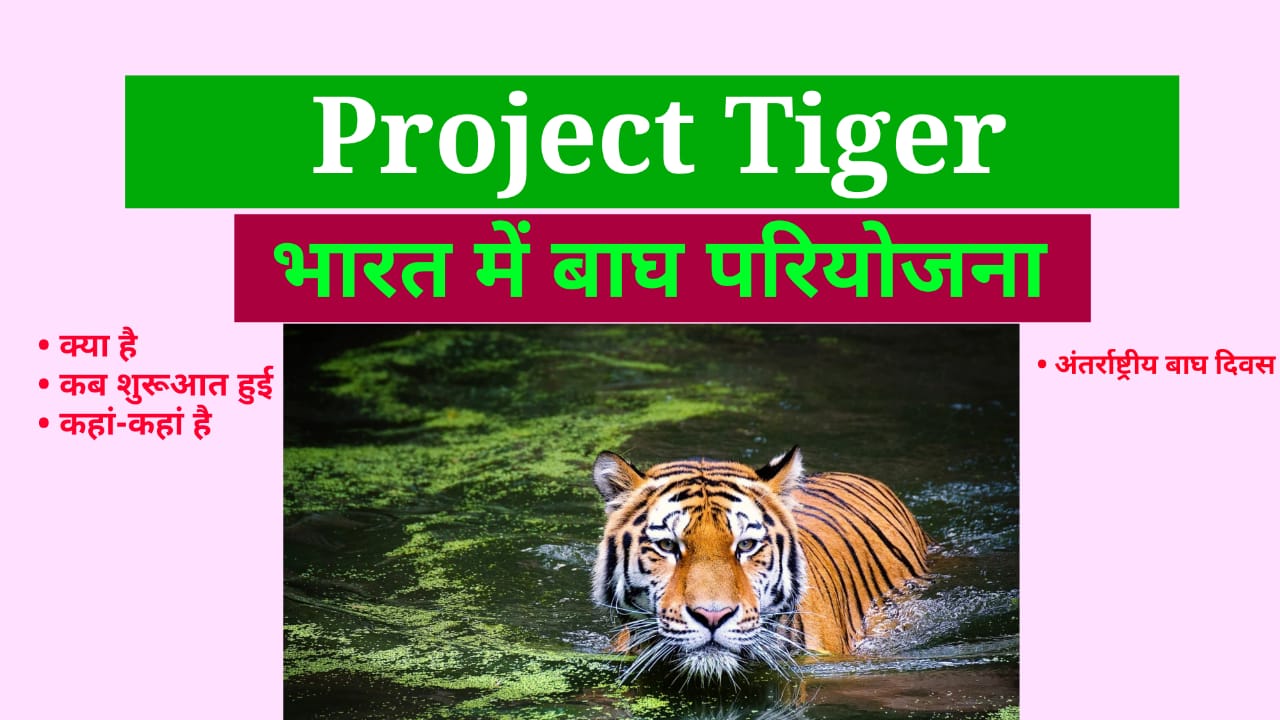Project tiger in india, प्रोजेक्ट टाइगर