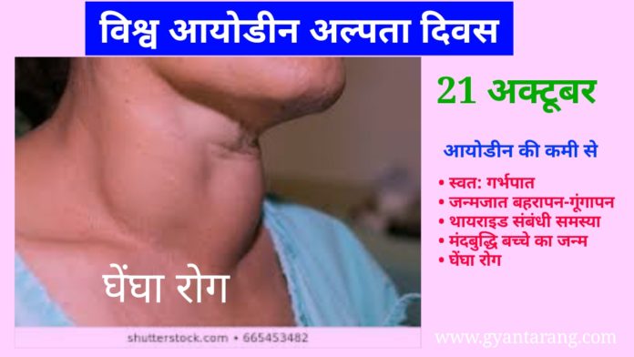 Global Iodine Deficiency Disorders Day, world iodine deficiency day, विश्व आयोडीन अल्पता दिवस, world iodine deficiency day in hindi, विश्व आयोडीन अल्पता दिवस कब मनाया जाता है, विश्व आयोडीन अल्पता दिवस क्यों मनाया जाता है, विश्व आयोडीन अल्पता दिवस का महत्व, वर्ल्ड आयोडीन डिफिशिएंसी डे, 21 October, 21 अक्टूबर का दिन, global iodine deficiency day in hindi,