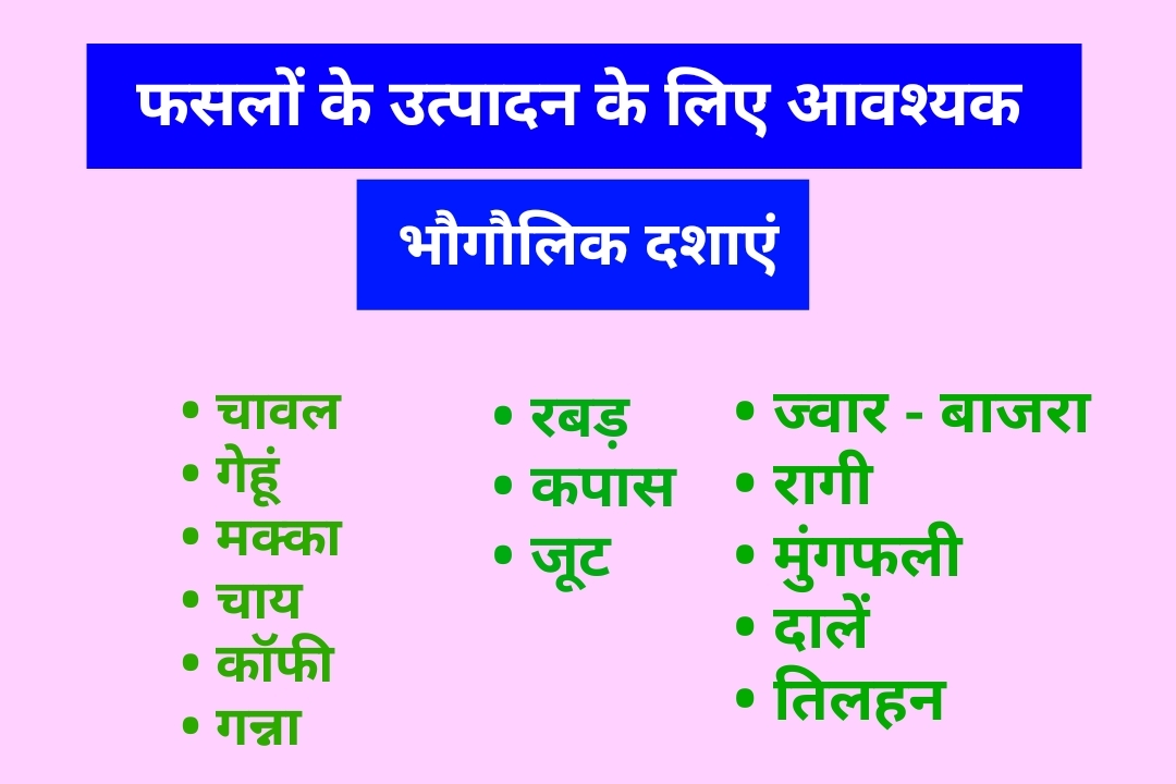 फसलों के उत्पादन के लिए आवश्यक भौगोलिक परिस्थितियां, Geographical conditions required for the production of crops, चावल के उत्पादन के लिए भौगोलिक परिस्थितियां, गेहूं उत्पादन के लिए आवश्यक भौगौलिक दशाएं, चाय, कहवा, जूट, कपास, गन्ना, गन्ना उत्पादन के लिए आवश्यक भौगौलिक दशाएं, rice crops geographical conditions, tea, cotton, sugarcane, wheet,