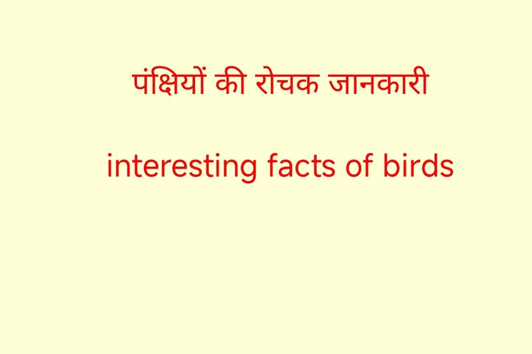 Intresting facts for Birds पंक्षियों की रोचक जानकारी, birds, पंक्षी, रोचक तथ्य, world bigest birds,